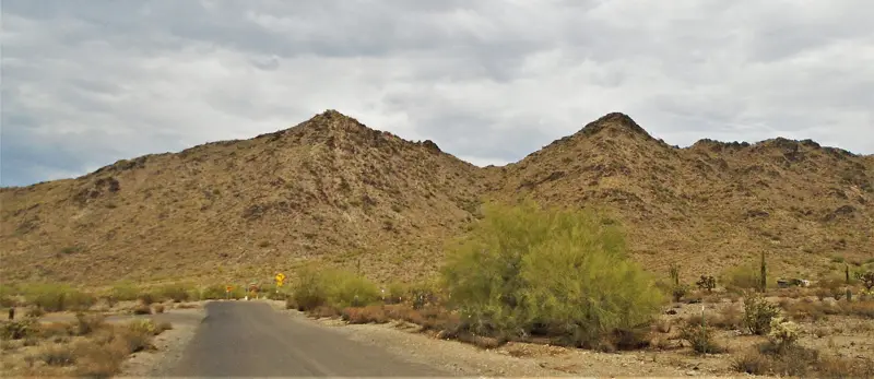Desert road leading toward the rocky San Tan Mountains, with palo verde and saguaro along the shoulder